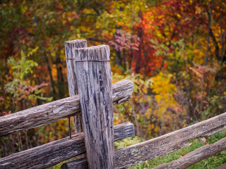 Part of old wooden fence with nature in Fall Color