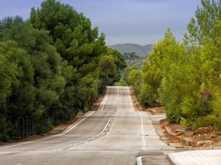 hilly road on mallorca framed by trees and shrubs
