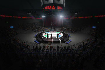 big mma fighting arena with lots of fans 3d rendering © 27mistral