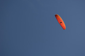 Background: red paragliding just taken off by a mountain, flies in the middle of a pine forest, during the sunset of an autumn day, backlight, Formazza Valley, Piedmont, Italy