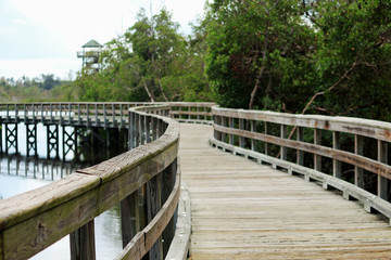 Fototapeta na wymiar Florida Nature Trail / Boardwalk