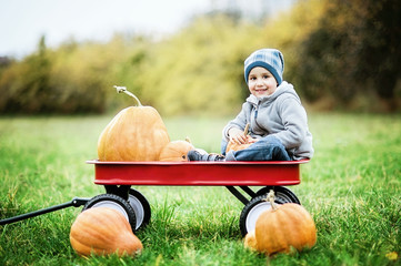 Happy little toddler boy on pumpkin patch on cold autumn day, with a lot of pumpkins for halloween...