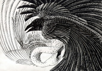 Рисунок тушью "Ворон и лебедь - инь и ян"