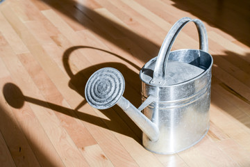 Retro metal watering can