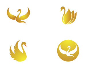 Fototapeta na wymiar Swan logo Template vector icon illustration design