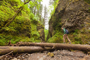 Adventure man hiking with backpack, walking in Oneonta Gorge, outdoor lifestyle