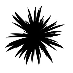 Black and White Flowers Silhouette