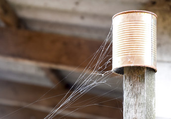 Obraz na płótnie Canvas Web on an old can on a stick. A sleight of a spider's net.