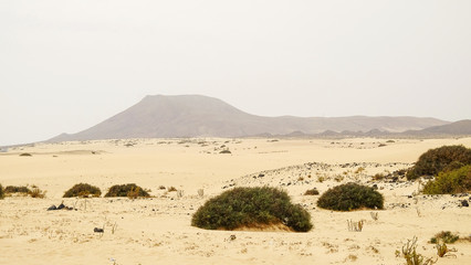 Natural park of Corralejo on Fuerteventura, Canary Islands