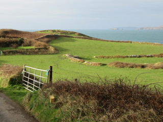 Green fields on coastal landscape in Ireland