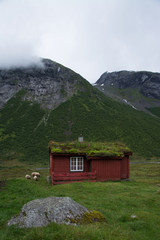 Fototapeta na wymiar Landschaft in Sogn og Fjordane, Norwegen