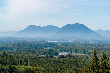 Misty Valley in Tofino - BC, Canada