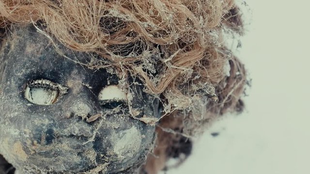 Nightmare of lost doll