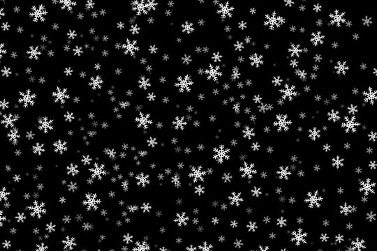 Decorative white snowdrops on black background