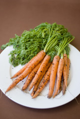 Bunch of fresh raw carrots with their leaves