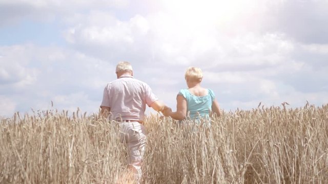 High quality video of senior couple walking in the wheat field in real 1080p slow motion 250fps