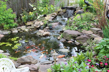 Pond with koi and waterfall in background