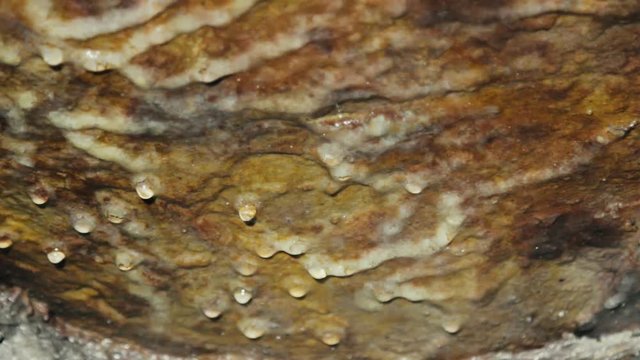 Caving, spelaeology, spelunking. Karst cave, dripstone, sinter, speleothem, dropstone. Initial stage of formation of stalactite.
