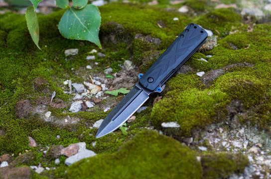 Pocket folding knife for daily carrying.