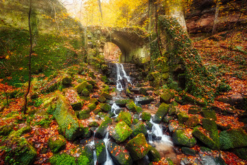 Bärengarten near Hohnstein