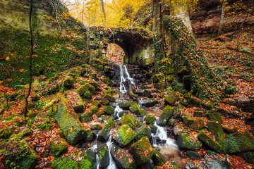 Bärengarten near Hohnstein