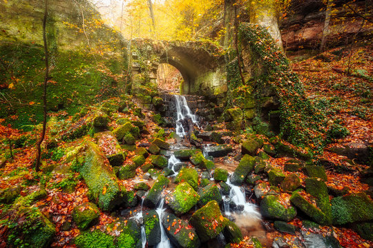 B&auml;rengarten near Hohnstein