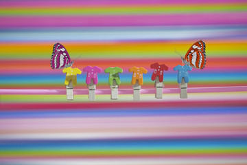 Obraz premium Butterflies perching on a clothes pin