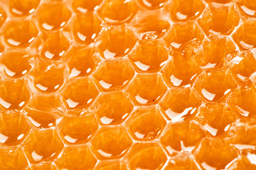 juicy honeycombs texture extreme close-up background