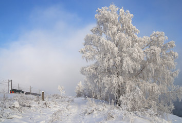 Fototapeta na wymiar Winter in the city Irkutsk