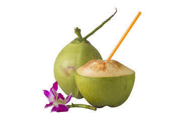 Isolated coconut on with background clean