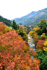 秋の奥多摩 日原川 北氷川橋方面