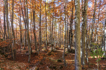 Gran Sasso..... Prati di tivo.. Autunno