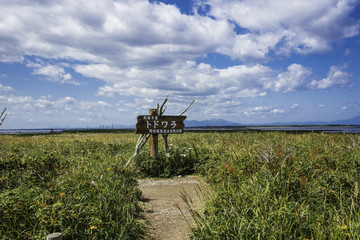 トドワラの風景　北海道