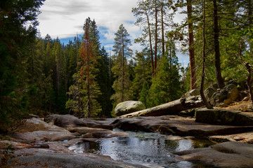 Fototapeta na wymiar Gorgeous view of Sequoia and Kings Canyon National Park on the Tokopah Falls Trail.