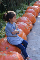 Little girl sitting on a big pumpkin , filtered tones