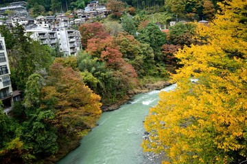 秋の奥多摩 氷川渓谷と川岸の町並み © op2015 / JAPAN