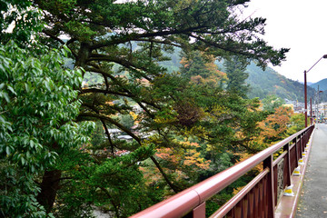 秋の奥多摩 昭和橋 駅前方面