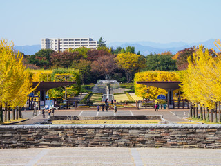 上野恩賜公園 夜明け前 Wall Mural Wallpaper Murals Kawamura Lucy