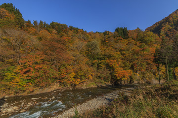秋の清津川の風景