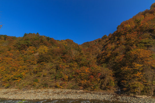 秋の清津川の風景