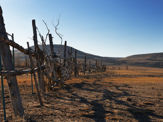 Wooden homemade fence enclosing the territory. Made roughly from sticks and branches. Wild mountain autumn landscape.