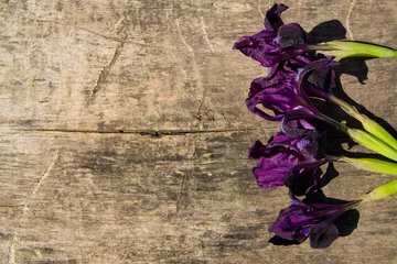 Crédence de cuisine en verre imprimé Iris Purple iris flowers on wooden background with copy space