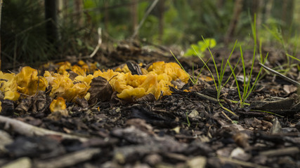 Autumn in Malmö Skåne Sweden