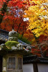 滋賀県、石山寺の秋、日本