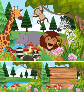 Background scenes with wild animals and board