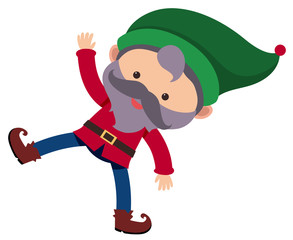 Little dwarf wearing green hat