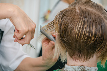 The girl is cut in beauty shop. A hairstyle in beauty shop.