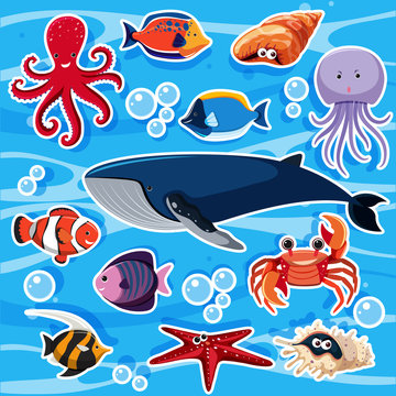Sticker template with many sea animals