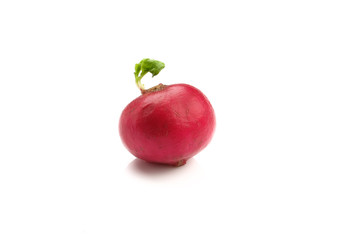 Red fresh radish Vegetable isolated on white background.