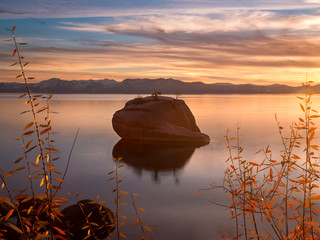 Bonsai Rock